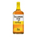 Tullamore D.E.W. Honey s českým medom 0,7l